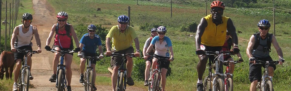 Two groups of cyclists biked across Cuba on two consecutive weeks in early 2015